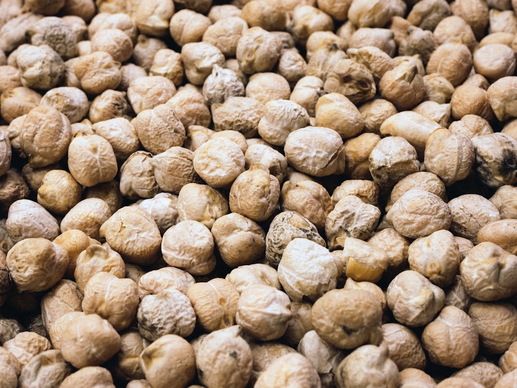 Kacang-Kacangan dan Biji